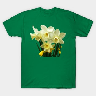 Daffodils - Daffodils and Buds T-Shirt